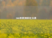 2008年欧洲杯比分表