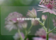 比分篮球即时比分网