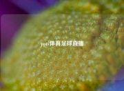 pptv体育足球直播