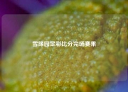 雪缘园足彩比分完场赛果