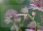 24500即时比分