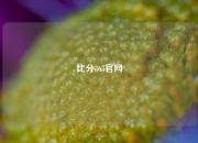 比分365官网
