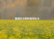 雷速比分即时篮球比分