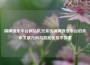 棋牌娱乐平台网站机灵系统棋牌娱乐平台的未来发展方向与智能化技术探索