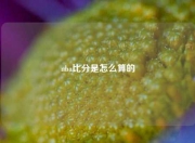 nba比分是怎么算的