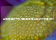 申博棋牌游戏平台探索激情与挑战的完美结合