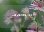 nba湖人季后赛比分数据