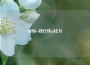快船vs独行侠g6比分