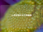 nba季后赛大比分表最新