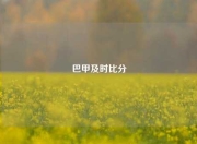 巴甲及时比分