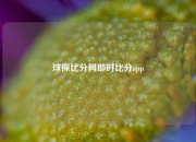 球探比分网即时比分app