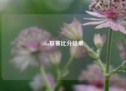 cba联赛比分结果