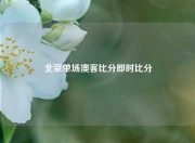 北京单场澳客比分即时比分