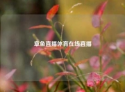 章鱼直播体育在线直播