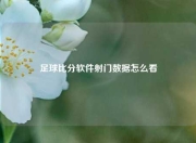 足球比分软件射门数据怎么看