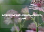 友闲棋牌平台代理商友闲棋牌平台代理商的兴起与挑战