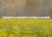 邵阳棋牌平台邵阳棋牌平台的崛起与未来展望