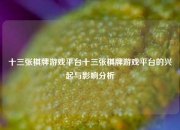 十三张棋牌游戏平台十三张棋牌游戏平台的兴起与影响分析