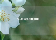 90vs足球手机比分版