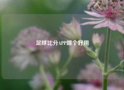 足球比分APP哪个好用