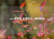 spbo-体球网 足球比分、即时比分