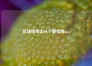足球体育比分下载官网app