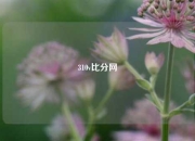 310v比分网