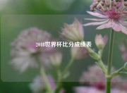 2018世界杯比分成绩表