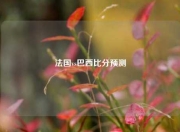 法国vs巴西比分预测