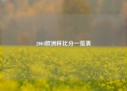 2004欧洲杯比分一览表