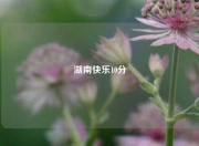 湖南快乐10分