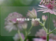 网球比分第一比分网
