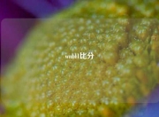 wnbl1比分