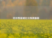 切尔西曼城比分预测最新