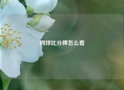 网球比分牌怎么看