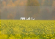 网球比分7比5