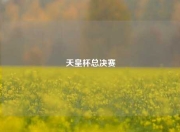 天皇杯总决赛