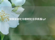 球探足球比分即时比分手机版ApP
