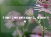 今日体彩足球比赛预测把握机会，稳稳赢得彩球！