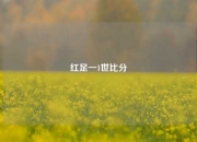红足一1世比分