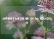 赌博棋牌平台出租赌博棋牌平台出租的灰色地带