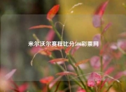 米尔沃尔赛程比分500彩票网