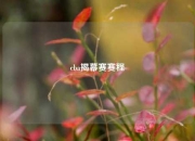 cba揭幕赛赛程