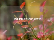 足球单场比分怎么算奖金
