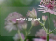 2021足球友谊赛比分表