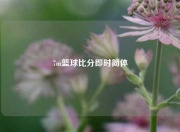 7m篮球比分即时简体