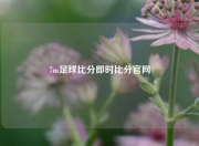 7m足球比分即时比分官网