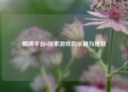 棋牌平台6探索游戏的乐趣与挑战