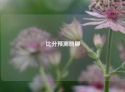 比分预测群聊