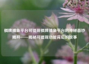 棋牌捕鱼平台可提现棋牌捕鱼平台的神秘面纱揭开——揭秘可提现功能背后的故事
